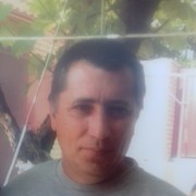  ,   , 54 ,  