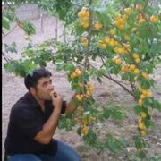  ,   Fatih, 39 ,   ,   