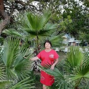  ,  Catea, 62