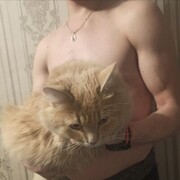  ,   , 34 ,   ,   