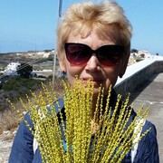 ���������� ������, ���� ������� �����, 65 ���, ������������ ��� ������, ����� � ���������, c�������� ���������