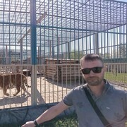 ���������� ������ ��������, ���� ������� ����, 40 ���, ������������ ��� ������, ����� � ���������, c�������� ���������