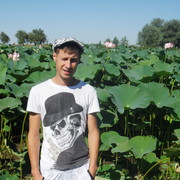 ���������� ���������, ���� ������� �������, 40 ���, ������������ ��� ������, ����� � ���������, c�������� ���������