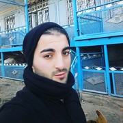  ,   Pashka, 31 ,   ,   , c 