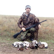 ���������� ����������, ���� ������� ϸ��, 36 ���, ������������ ��� ����� � ���������, c�������� ���������