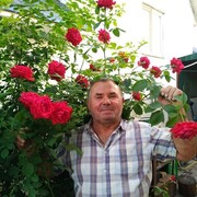 ���������� ������, ���� ������� ��������, 69 ���, ������������ ��� ����� � ���������, c�������� ���������