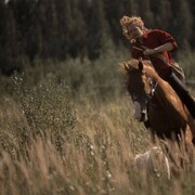 ���������� �����-���������, ���� ������� ����, 34 ����, ������������ ��� ������, ����� � ���������