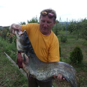 ���������� ��������, ���� ������� �������, 56 ���, ������������ 