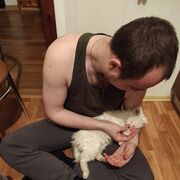 ���������� ������-��-����, ���� ������� �������, 32 ����, ������������ ��� ������, ����� � ���������, c�������� ���������