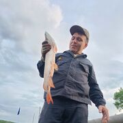 ���������� ���������, ���� ������� ������, 49 ���, ������������ ��� ������, ����� � ���������