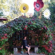   ,   , 52 ,   c 