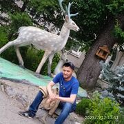  --,   , 41 ,   ,   