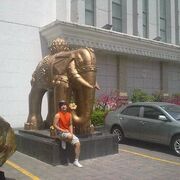 ���������� ������, ���� ������� Max, 33 ����, ������������ ��� ����� � ���������, c�������� ���������