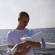 ���������� ��������, ������� ����, 37