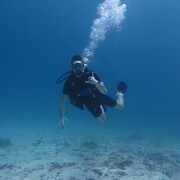 ���������� ������, ���� ������� ����, 31 ���, ������������ ��� ������, ����� � ���������