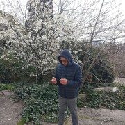  -,   , 44 ,   ,   