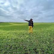 ���������� �����, ���� ������� �����, 35 ���, ������������ ��� ������, ����� � ���������