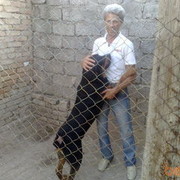  ,   Vladimir, 55 ,   
