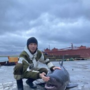 ���������� �����, ���� ������� �����, 33 ����, ������������ ��� ������, ����� � ���������, ���������