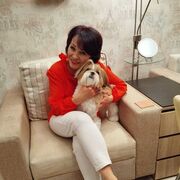 ���������� �����������, ���� ������� �����, 55 ���, ������������ ��� c�������� ���������