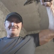  ,   , 56 ,   ,   