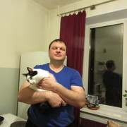 ���������� ���������, ���� ������� ������, 44 ����, ������������ ��� ����� � ���������, c�������� ���������