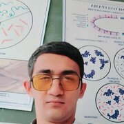  ,  Sardorr, 24