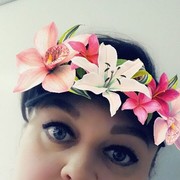  ,   , 41 ,  