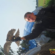 ���������� ����, ���� ������� ����, 41 ���, ������������ ��� ����� � ���������, c�������� ���������