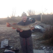 ���������� ������ ��������, ���� ������� ������, 47 ���, ������������ ��� ������, ����� � ���������, c�������� ���������