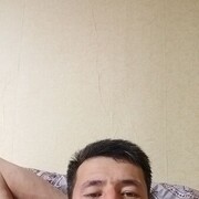 ���������� ���������, ���� ������� Xurshid, 36 ���, ������������ ��� ���������