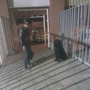 ���������� ���������, ���� ����� ������, 25 ���, ������������ ��� ������, ����� � ���������, c�������� ���������