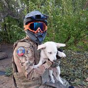 ���������� ������, ���� ����� ������, 23 ����, ������������ ��� ������, ����� � ���������, c�������� ���������