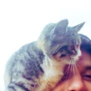 ���������� ������, ���� ������� ������, 34 ����, ������������ ��� ������, ����� � ���������, c�������� ���������