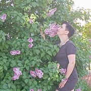  ,   , 39 ,   c 
