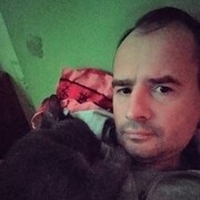  -,   , 48 ,   ,   