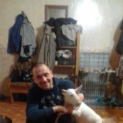  -,   , 46 ,   