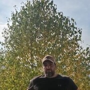 ���������� ���������, ���� ������� ������, 43 ����, ������������ ��� ������, ���������