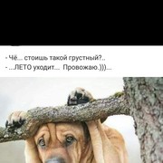  ,    , 27