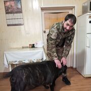 ���������� ������-��-����, ���� ������� ���, 42 ����, ������������ ��� ������, ����� � ���������