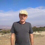  Dolphin,   , 75 ,   ,   