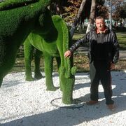 ���������� ��������, ���� ������� ��������, 46 ���, ������������ ��� ������, ����� � ���������, c�������� ���������