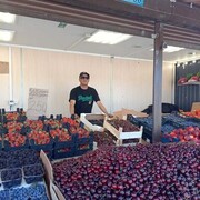 ���������� �����-���������, ���� ������� Elbar, 43 ����, ������������ ��� ������, ����� � ���������