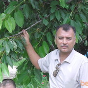  ,   k, 55 ,   ,   , c 