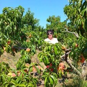 ���������� �����, ���� ������� ����, 55 ���, ������������ ��� ������, ����� � ���������