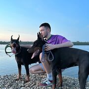 ���������� �����-���������, ���� ������� ����, 32 ����, ������������ ��� ����� � ���������, c�������� ���������, ���������