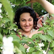 ���������� ���������, ���� ������� ����, 49 ���, ������������ ��� ������, ����� � ���������