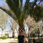  ,   Artur, 40 ,   ,   , c 