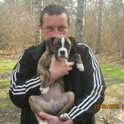 ���������� �����������, ���� ������� �����, 43 ����, ������������ ��� ������, ����� � ���������, c�������� ���������