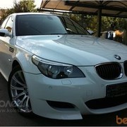 ���������� ������, ���� ������� Erlan, 42 ����, ������������ ��� ������, ����� � ���������, c�������� ���������